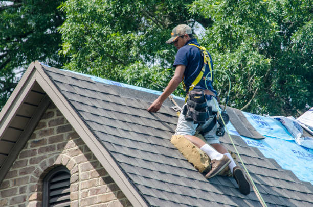 Best Metal Roofing Contractor  in Carthage, NY